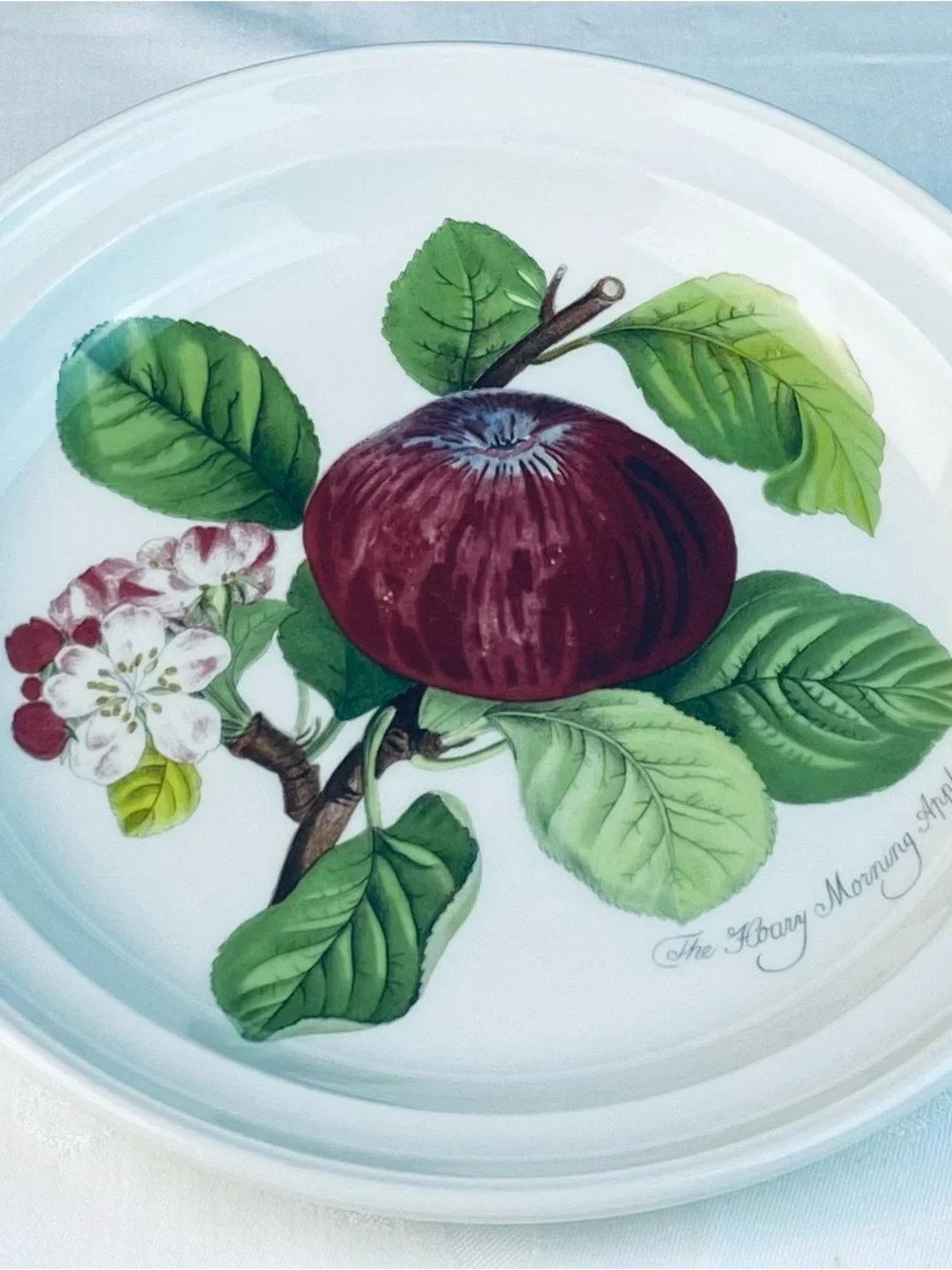 Portmeirion Dinner Plate “The Hoary Morning Apple” 10- 1/2”